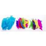 Bright Turkey Feathers  60gm Assorted Colours