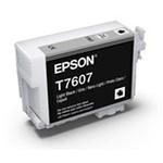 Epson Ink Cartridge 760 Light Black C13T760700