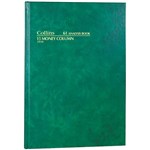 COLLINS ANALYSIS 61 SERIES A4 15 Money Column Green 